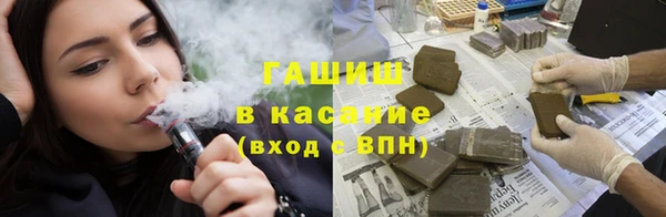 прущие грибы Алзамай