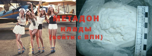 прущие грибы Алзамай